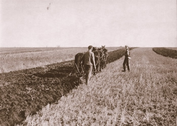 contadinitedeschi  in Bessarabia
